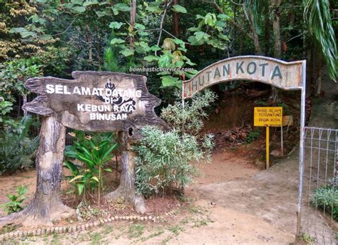 Liburan Menyegarkan di Wisata Tanjung Selor yang Menakjubkan